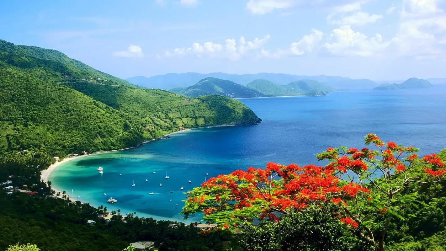 高标准先进